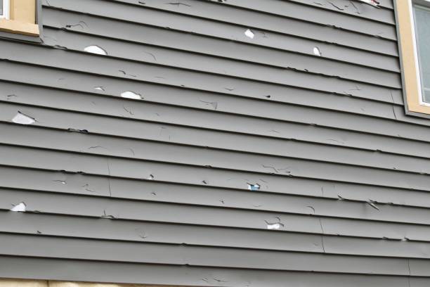Reliable Loudoun Valley Estates, VA Siding Installation & Repair Solutions